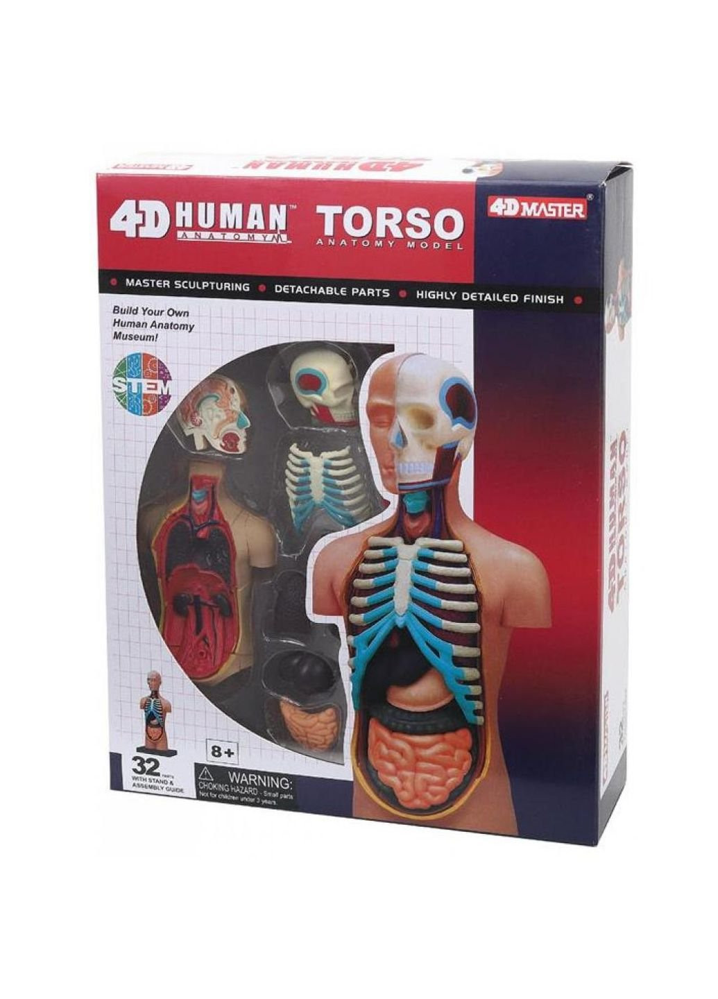 Пазл Объемная анатомическая модель Торс человека (FM-626003) 4D Master (252407784)