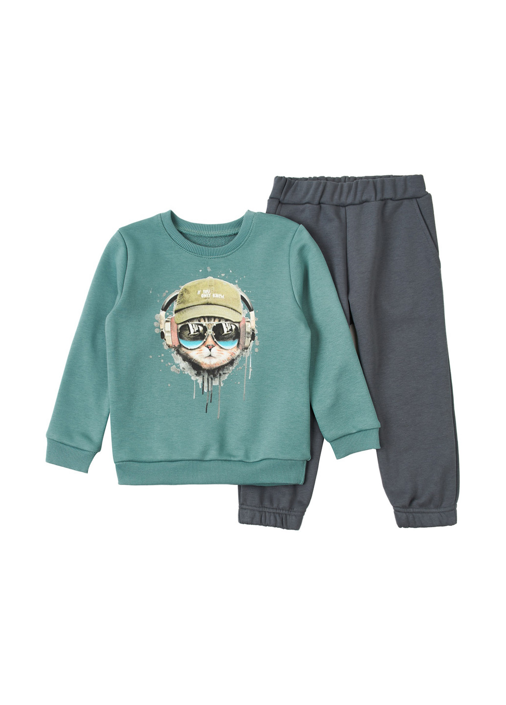 Комбинированный демисезонный костюм (свитшот, брюки) брючный Ляля