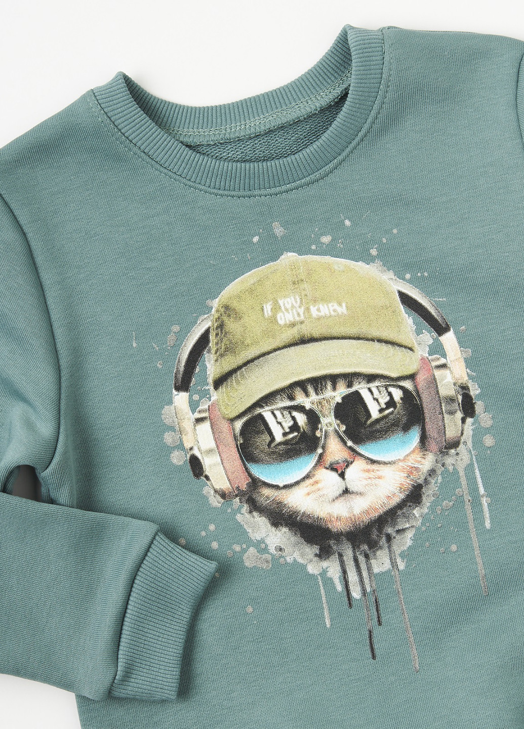 Комбинированный демисезонный костюм (свитшот, брюки) брючный Ляля