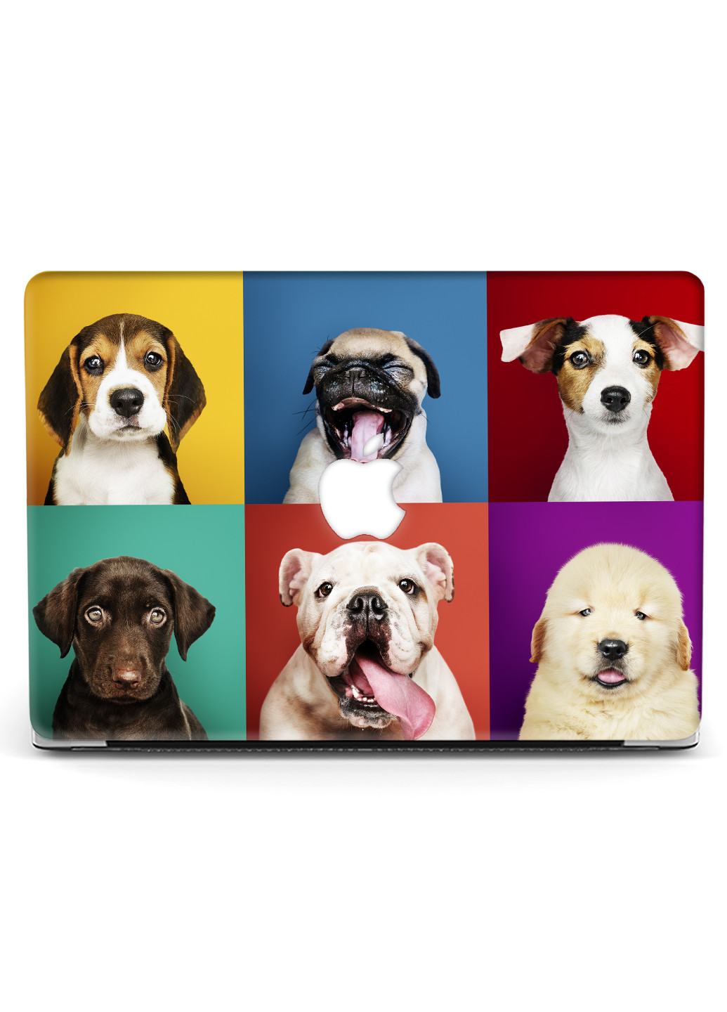 Чехол пластиковый для Apple MacBook Pro 16 A2141 Породы собак (Dog breeds) (9494-2329) MobiPrint (218987616)