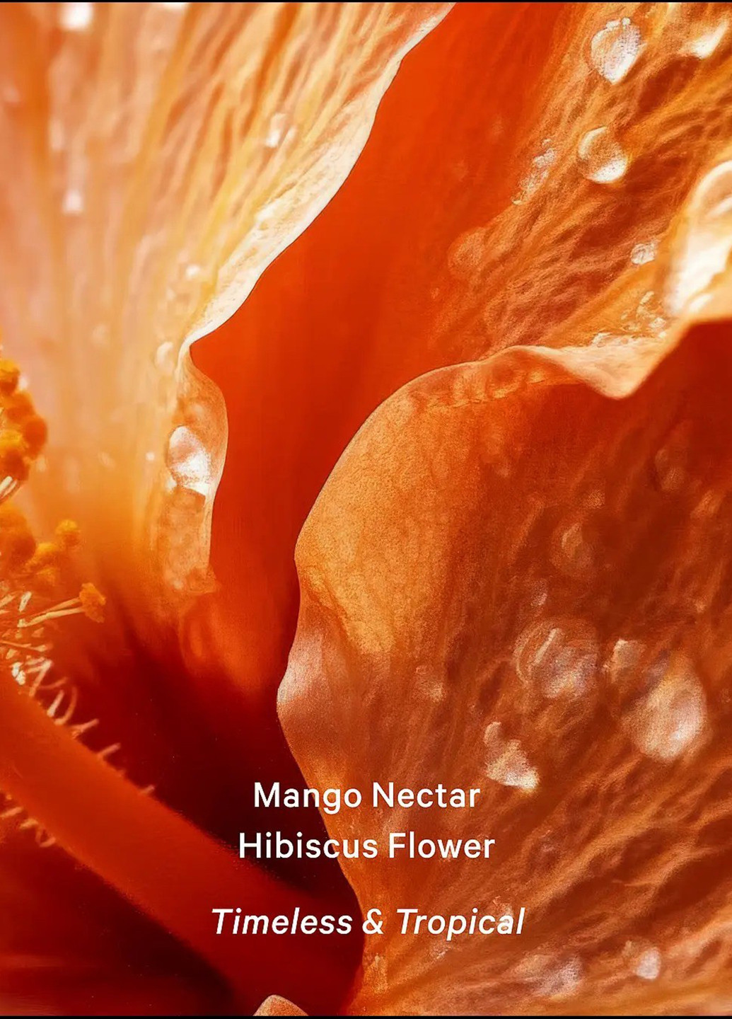 Набір для тіла Victoria’s Secret Mango Temptation (міст, 250 мл, лосьйон, 236 мл) Victoria's Secret (341484198)