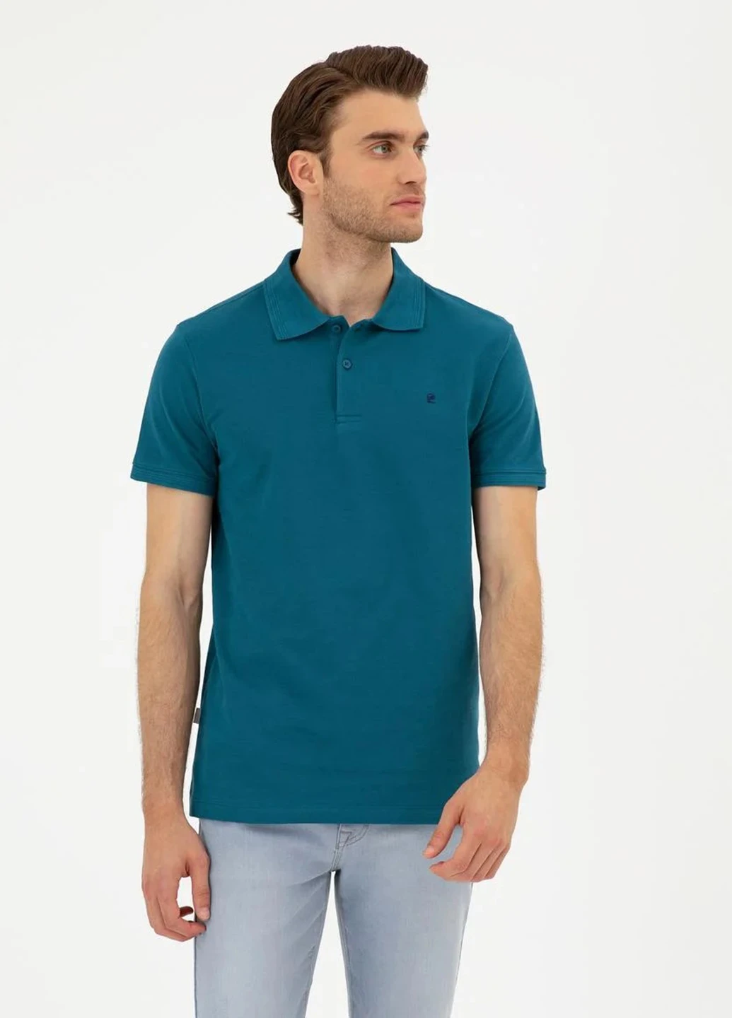 Поло Pierre Cardin (303685002)