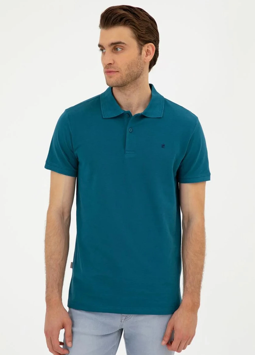 Поло Pierre Cardin (303685002)