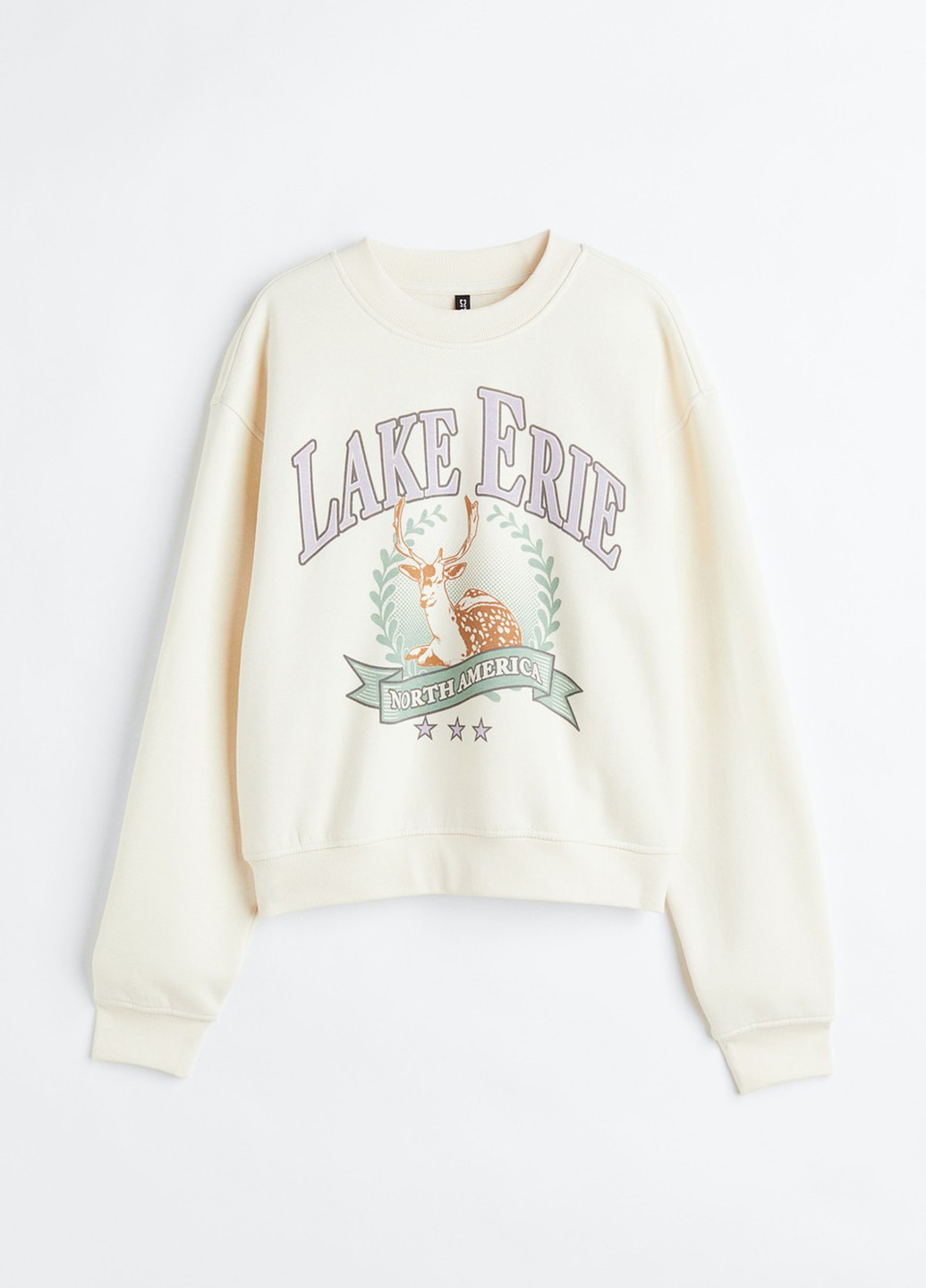 Кремовый свитшот H&M рисунок без декора (300466377)