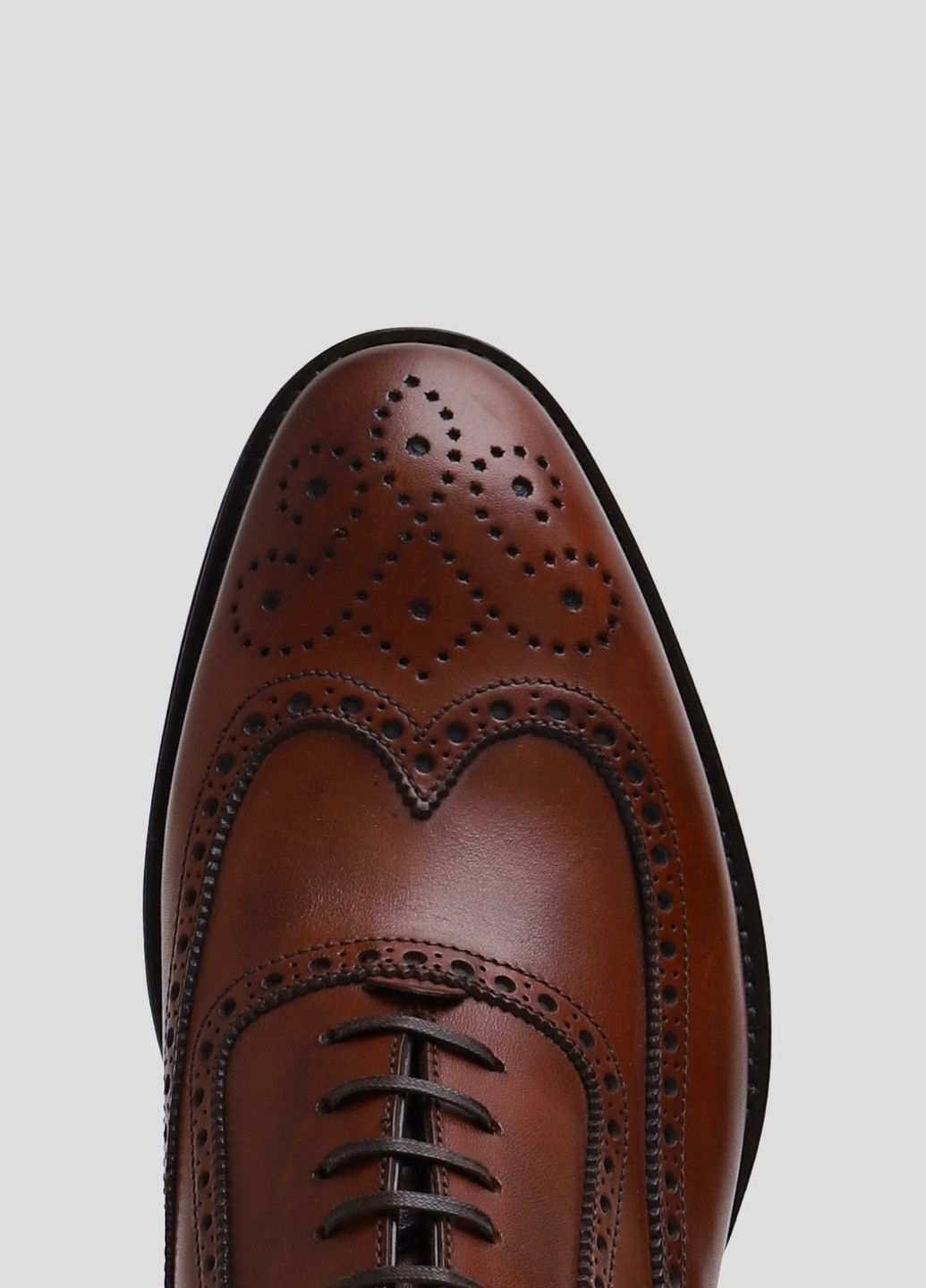 Коричневі шкіряні броги Roberto Morelli (239206285)