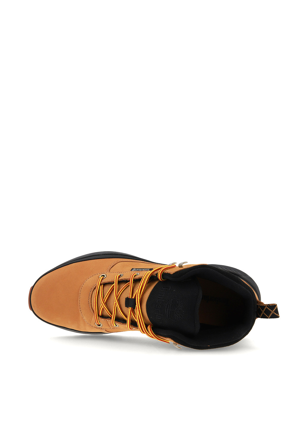 Черевики Timberland FIELD TREKKER (303487954)