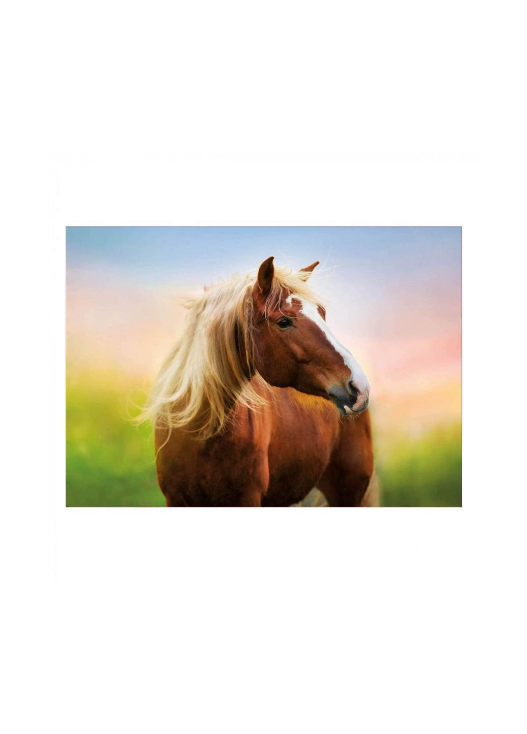 Пазл Лошадь на рассвете 500 элементов (6336984) Educa (252405602)