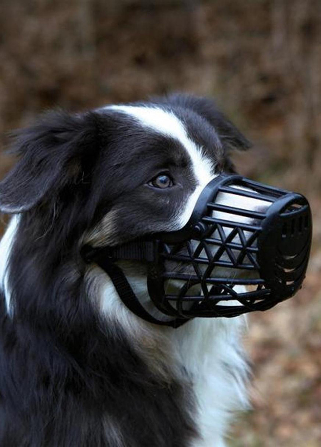 Намордник, 26 см Trixie (17548085)