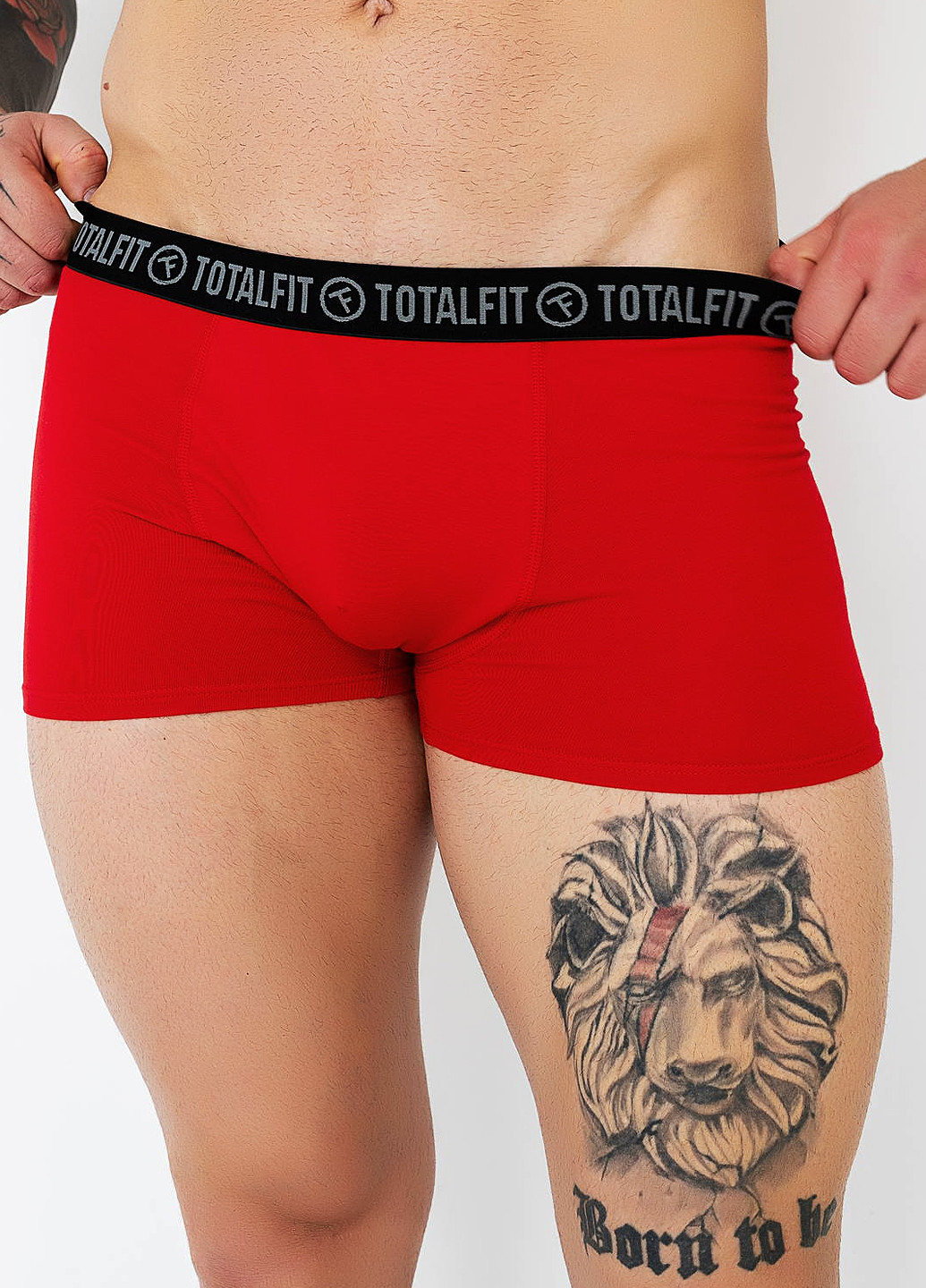 Трусы TOTALFIT (305253186)