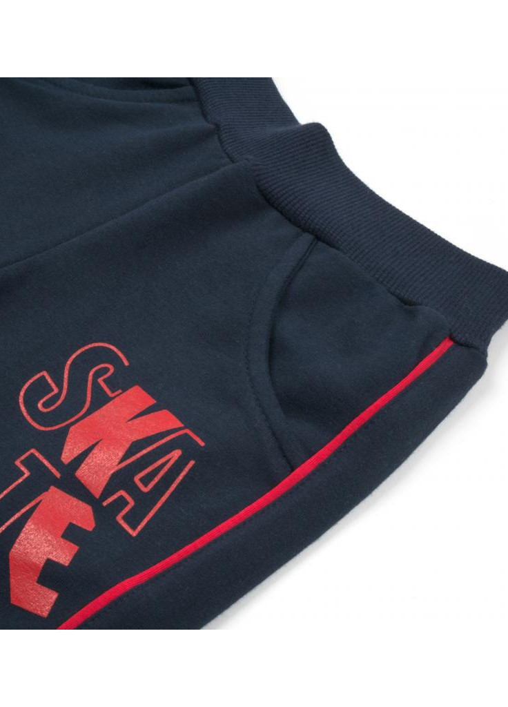 Красный демисезонный костюм десткий "good skate" (13263-116b-gray) Breeze