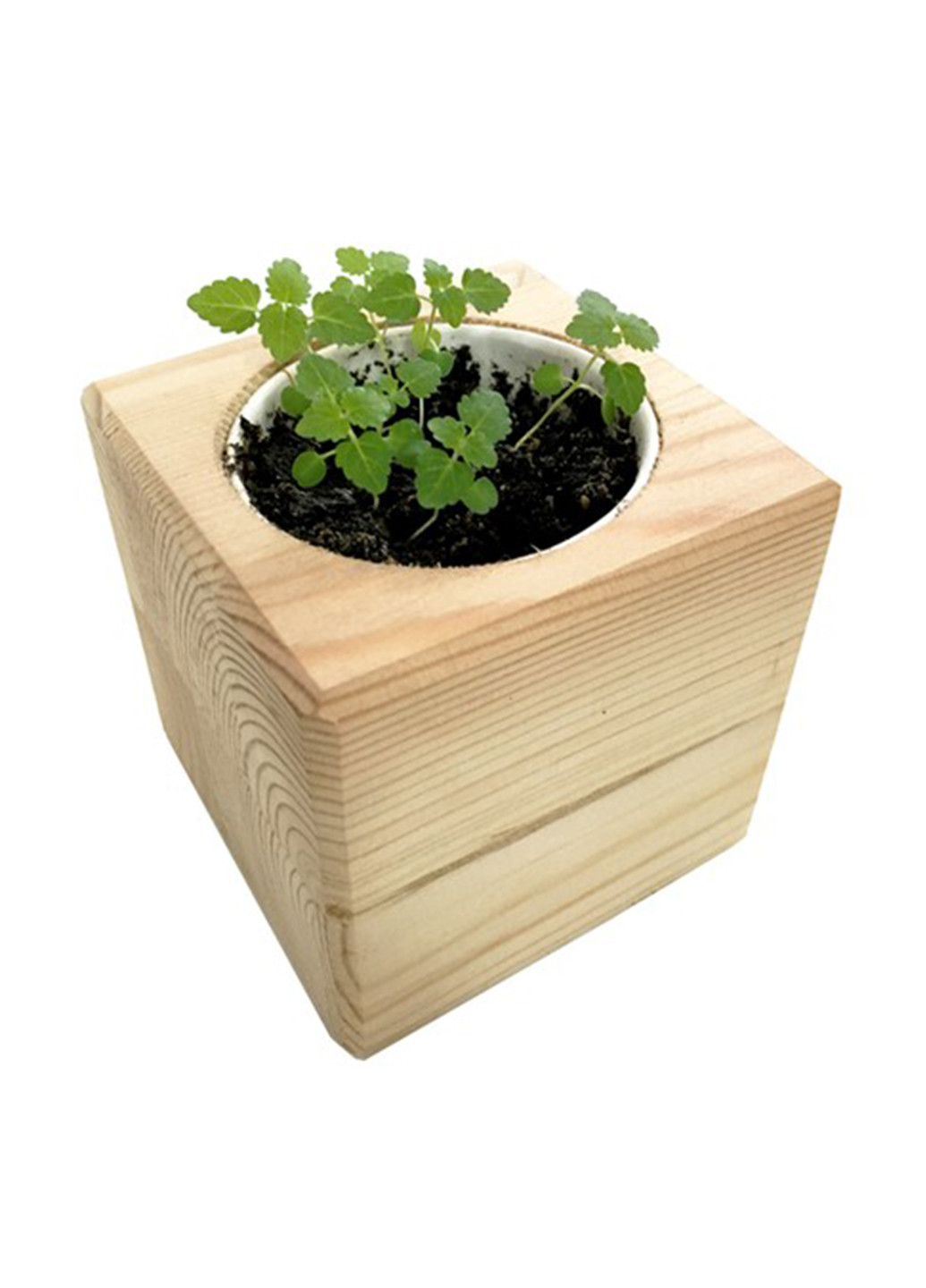 Набор для выращивания Мелисса, 8х8х8 см Экокуб (197656929)