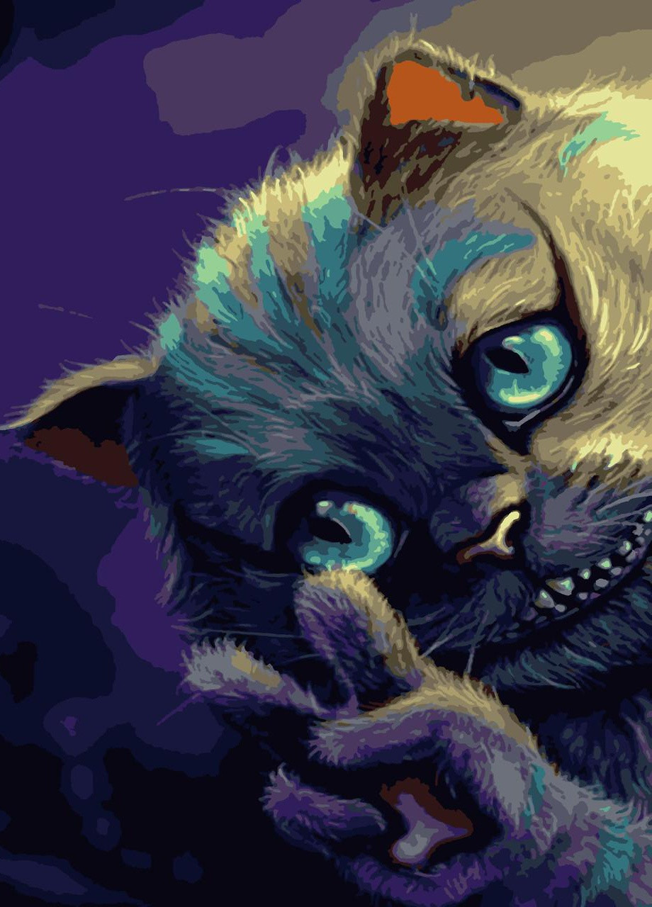 Картины по номерам "Чеширсикй кот" 40*50 см No Brand (254583797)