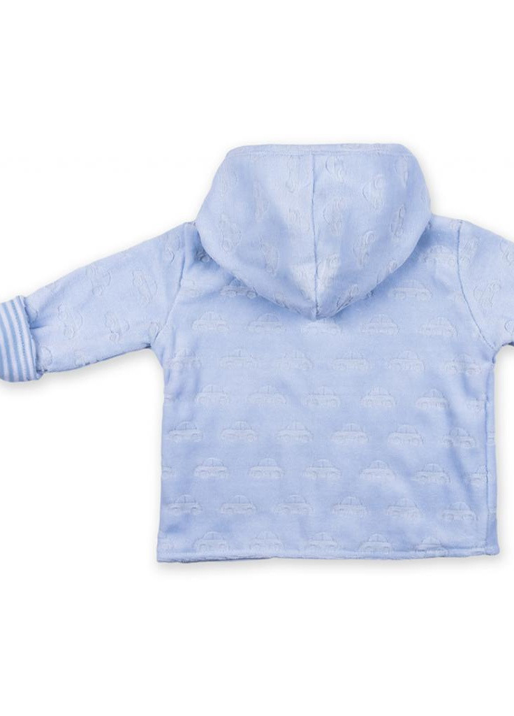 Блакитний демісезонний костюм десткий велюровий блакитний c капюшоном (ep6206.nb) Luvena Fortuna