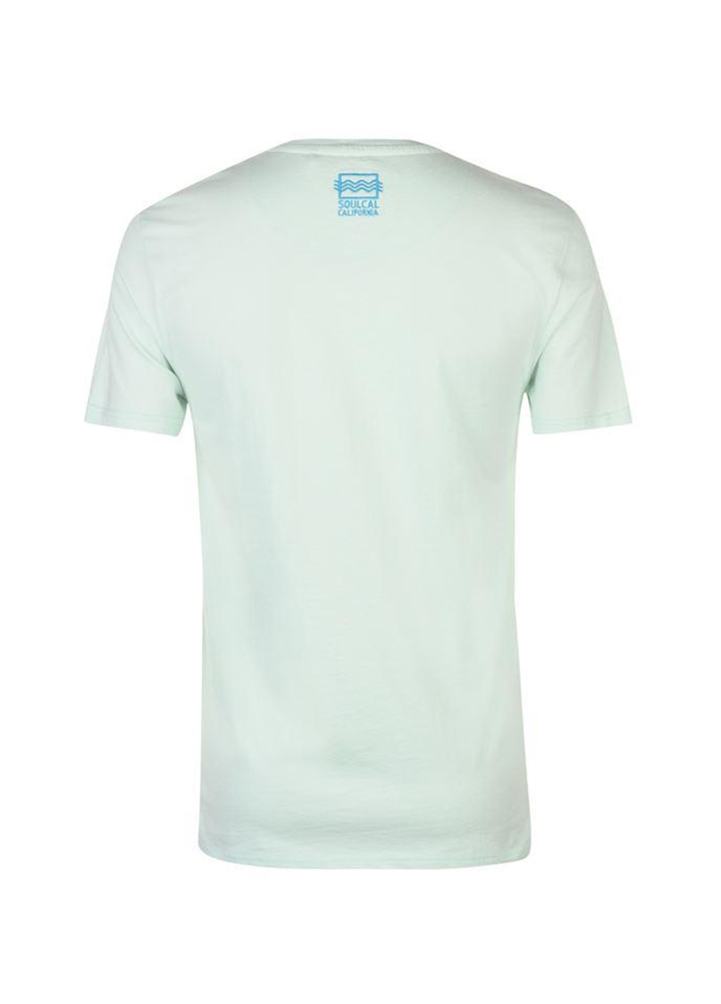 Бледно-зеленая футболка Soulcal & Co