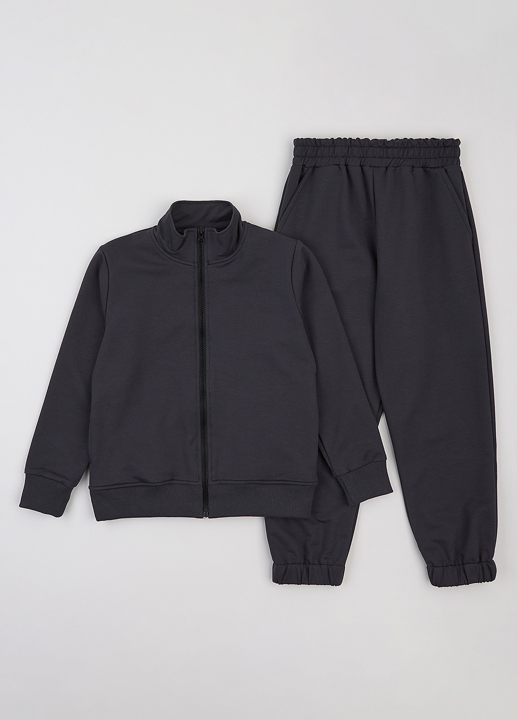 Костюм (толстовка, штани) Flamingo (359368625)