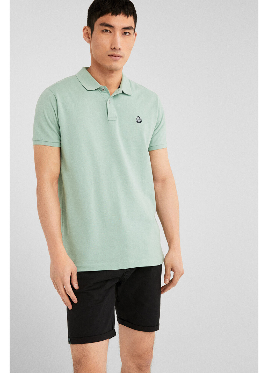 Шорти Springfield (258780625)