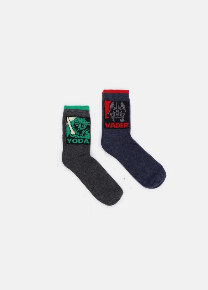 Шкарпетки (2 пари) C&A (255995223)