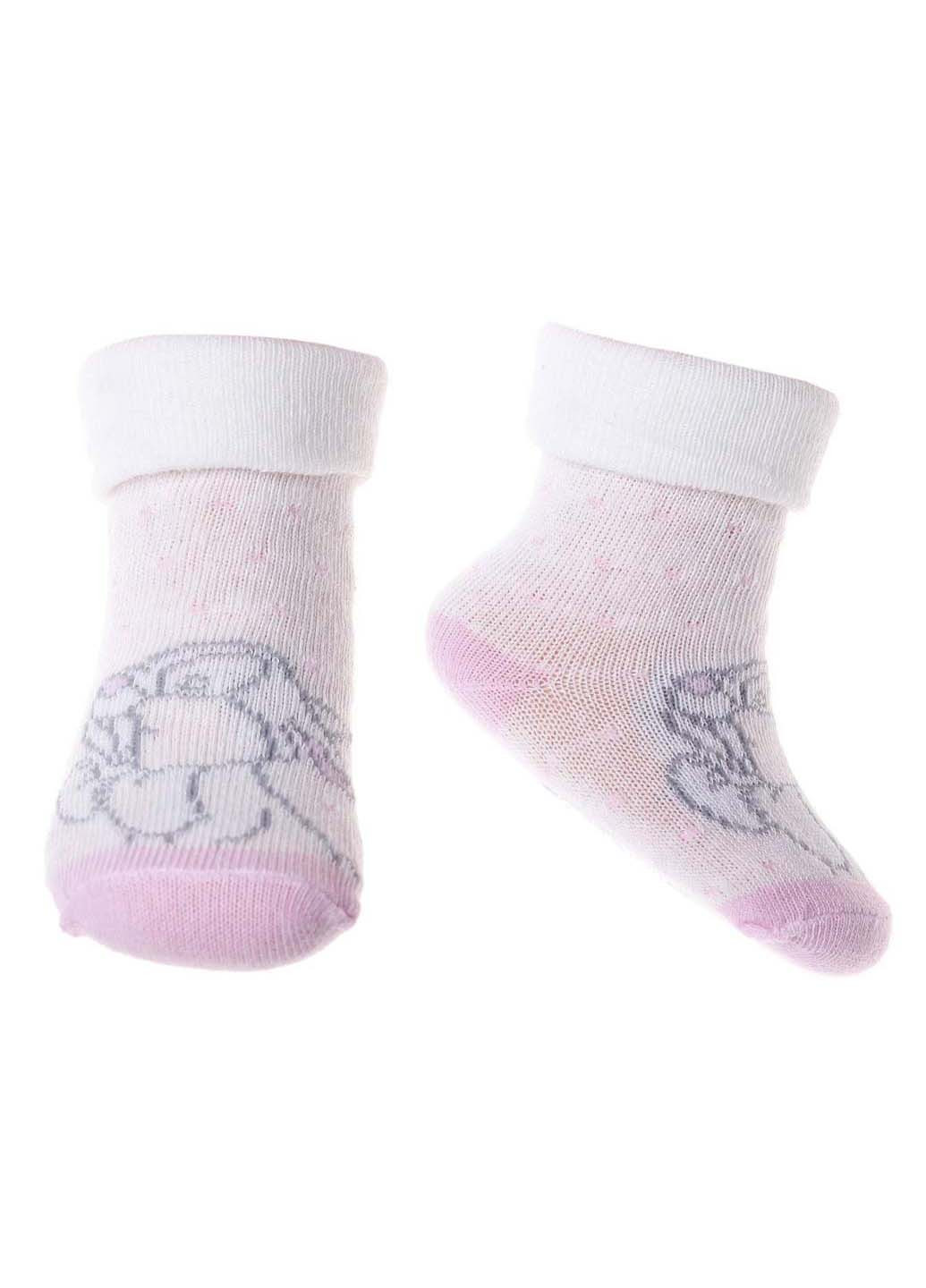 Шкарпетки Disney Birth Pan Pan (256036718)