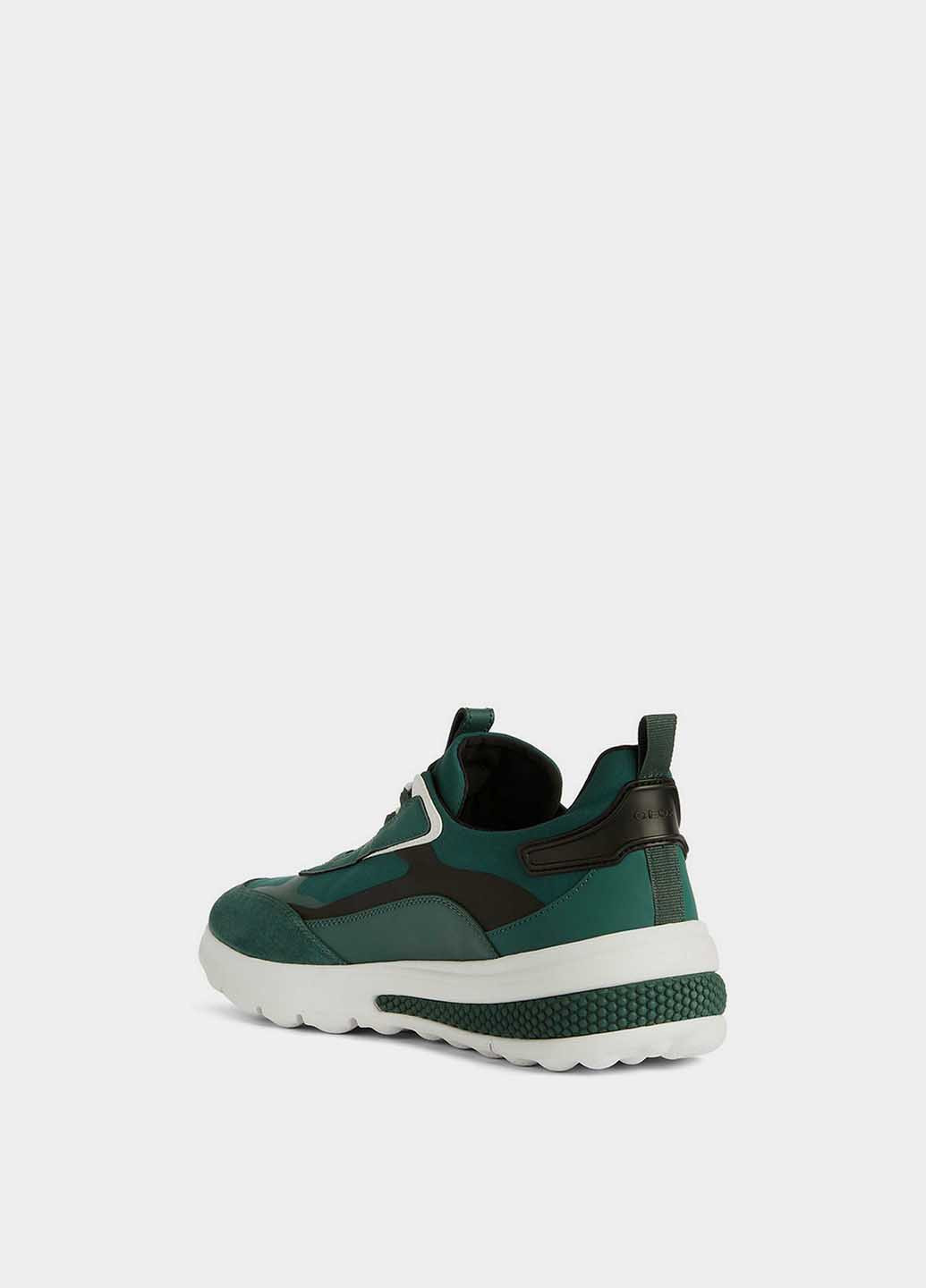 Зеленые демисезонные кроссовки Geox