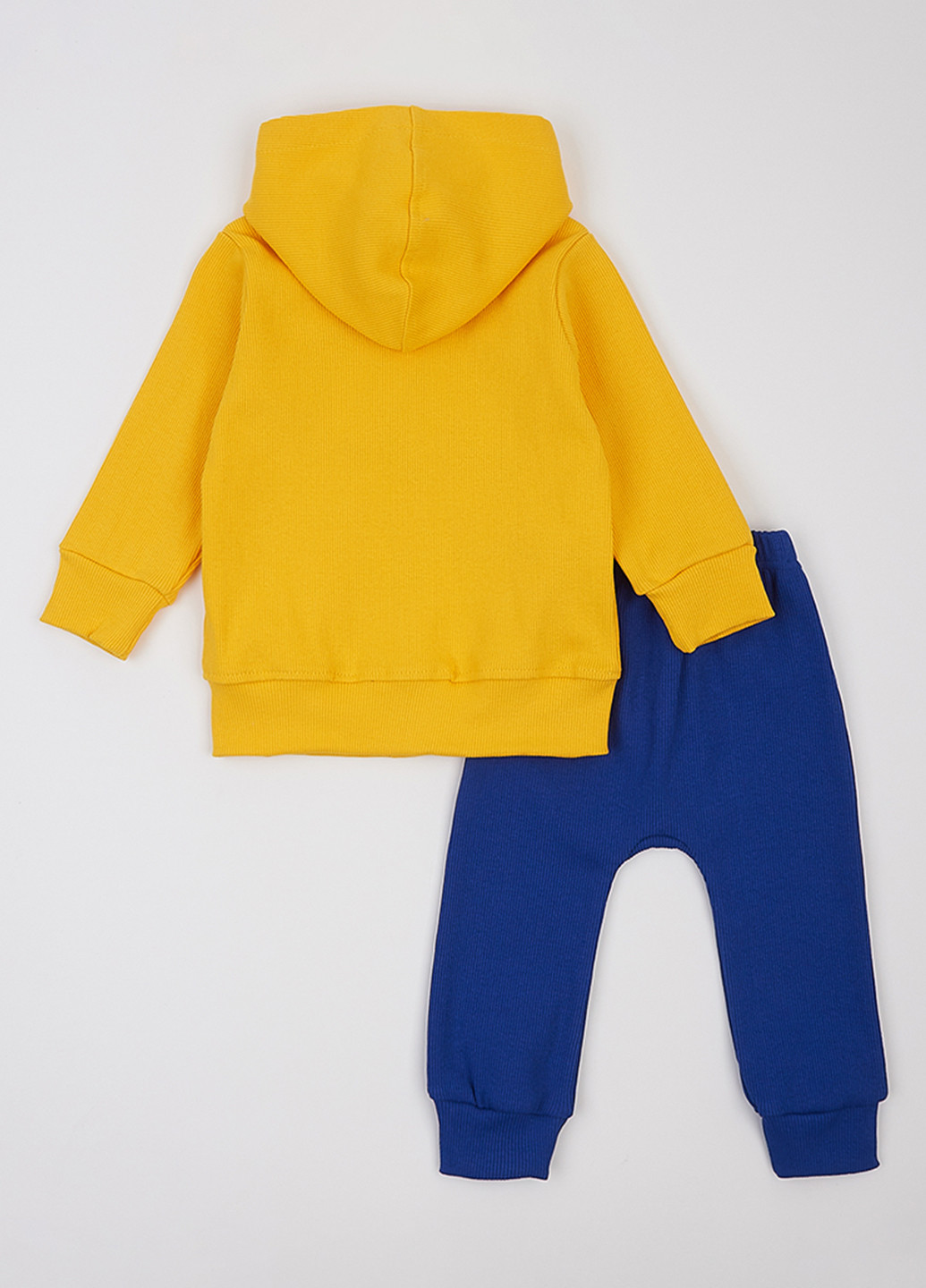 Спортивний костюм (толстовка, штани) Фламинго (314603332)