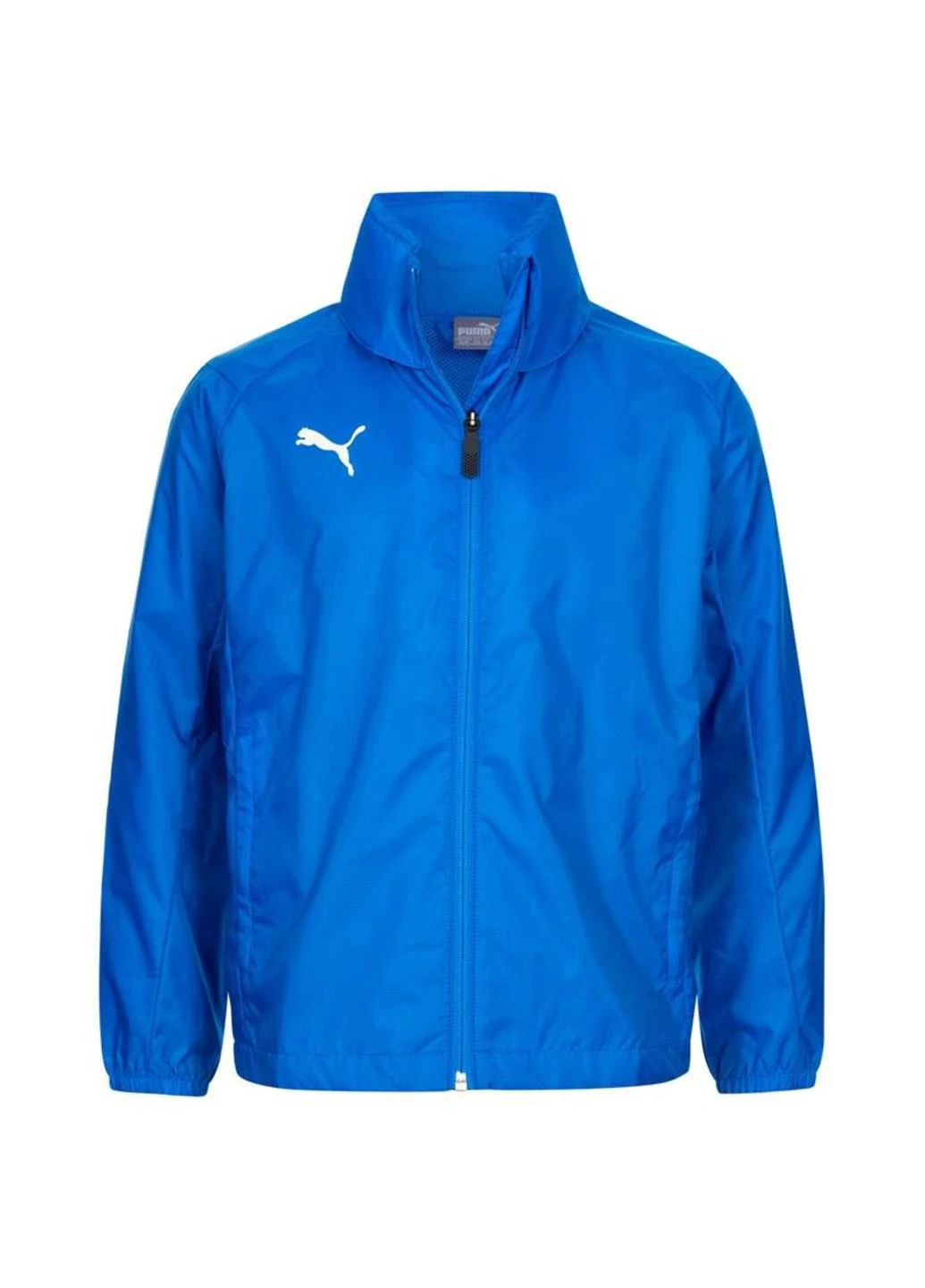 Олимпийка 655628-02 Puma LIGA Kids Training (343046996)