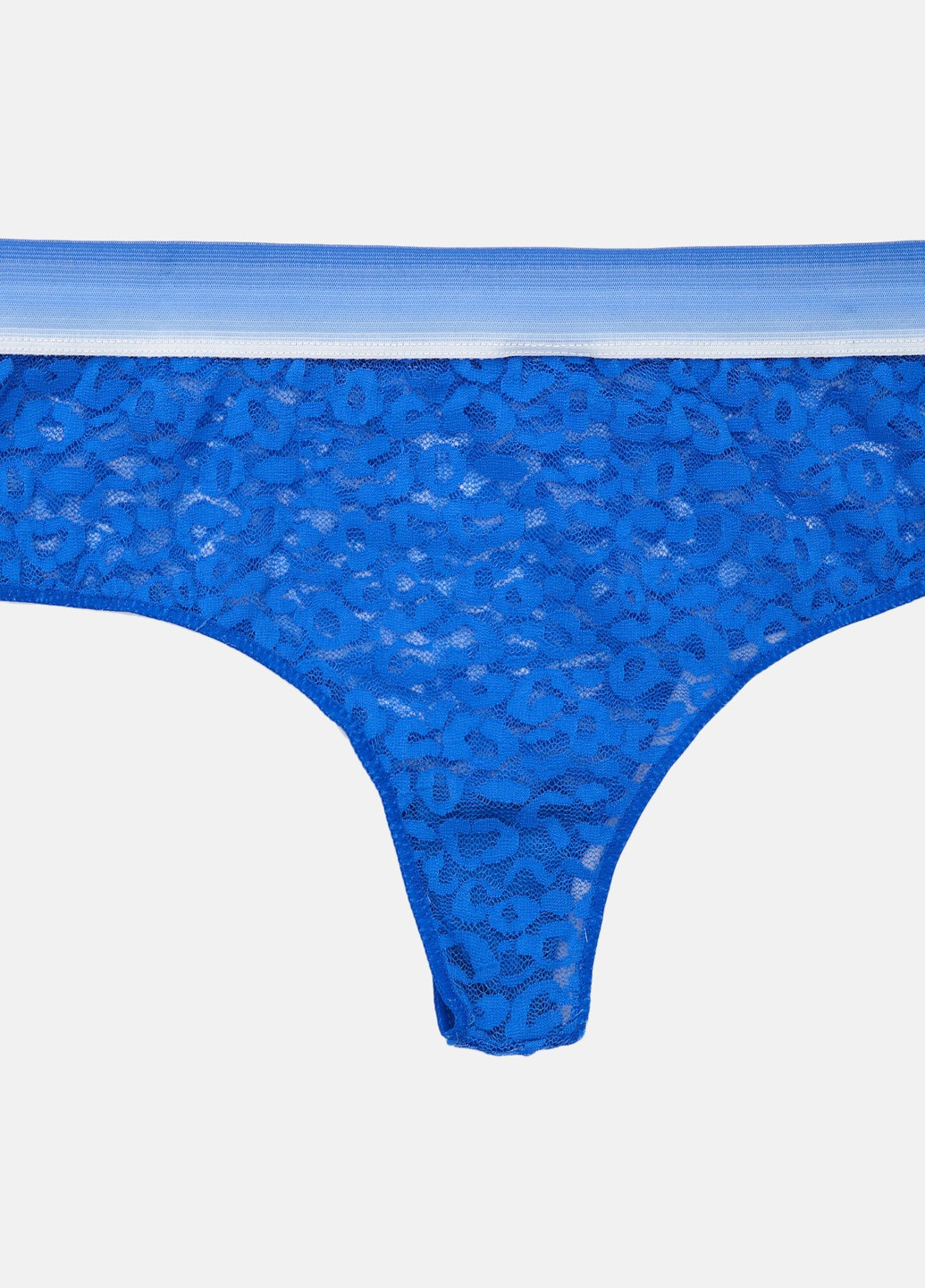 Труси,синій, Fancy Underwear (254697376)
