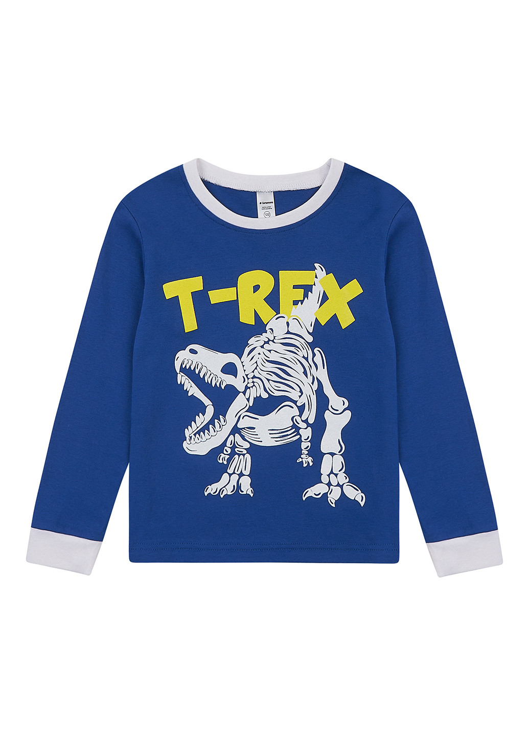 Синий демисезонный кэжуал лонгслив Garnamama динозавр