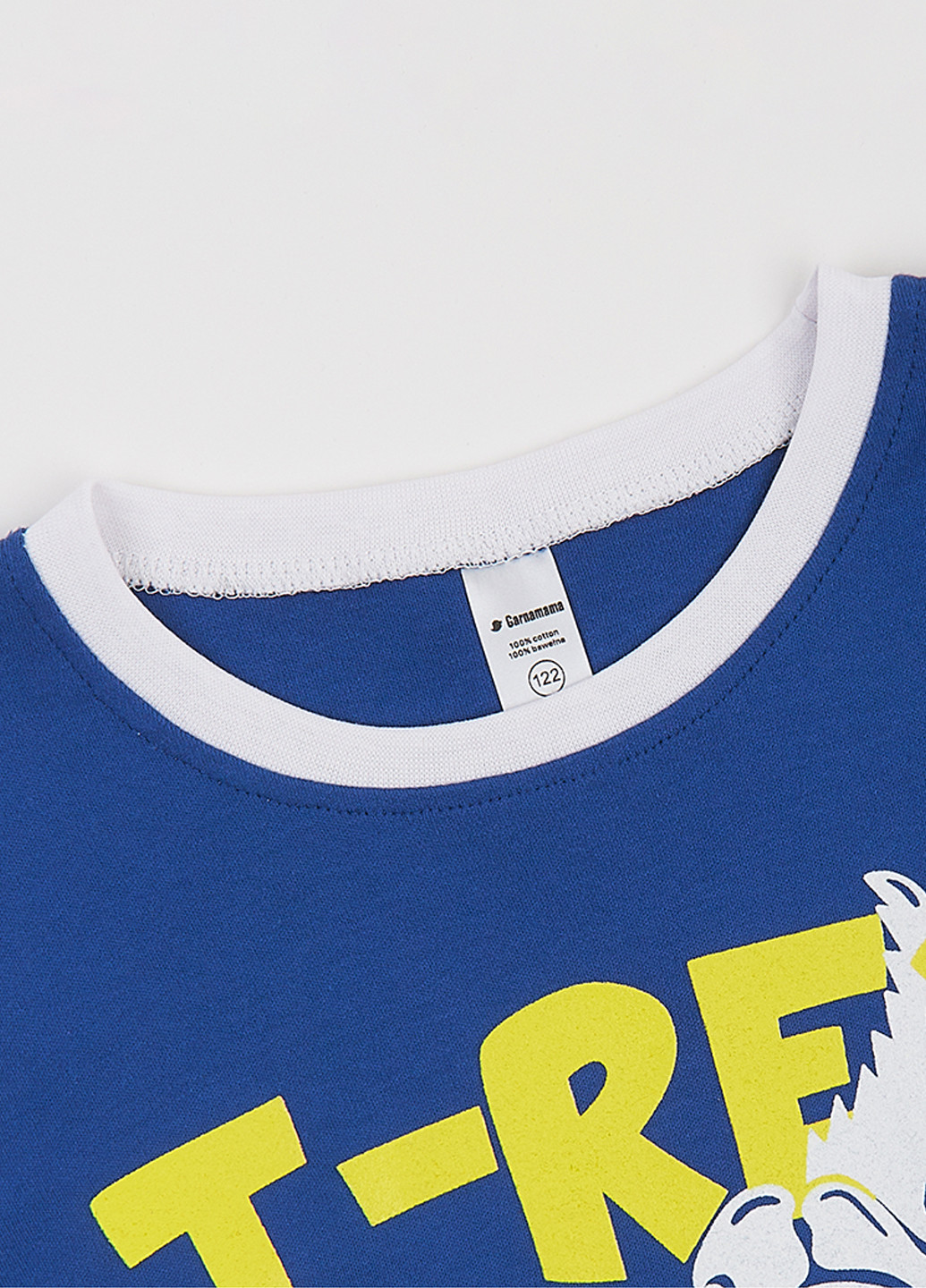 Синий демисезонный кэжуал лонгслив Garnamama динозавр