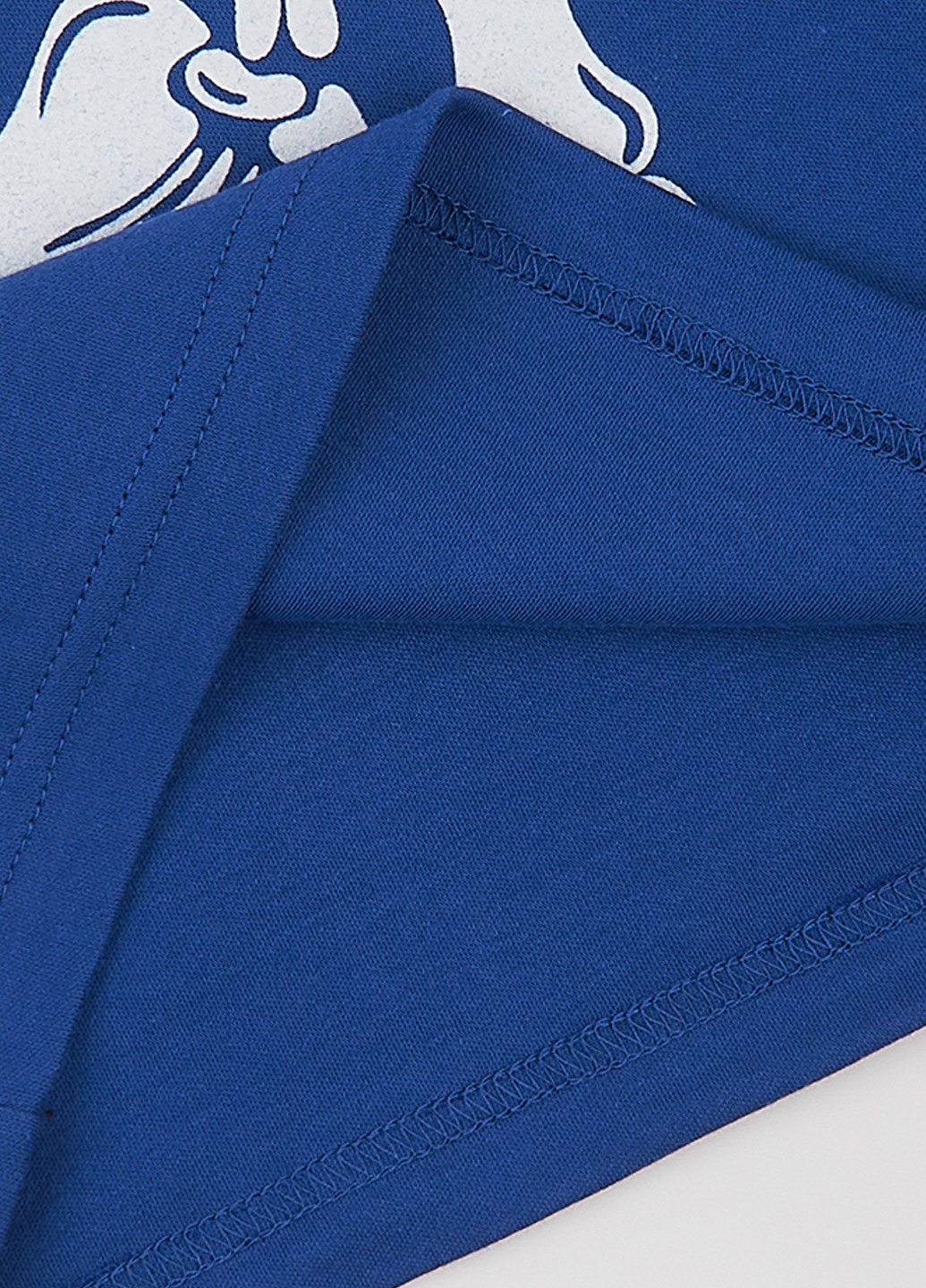 Синий демисезонный кэжуал лонгслив Garnamama динозавр