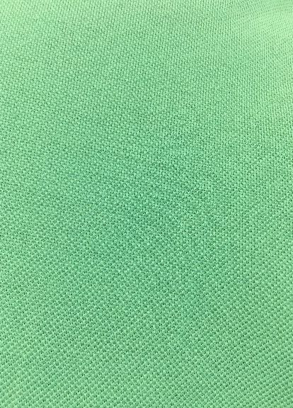 Фисташковая футболка-поло для мужчин Ralph Lauren однотонная