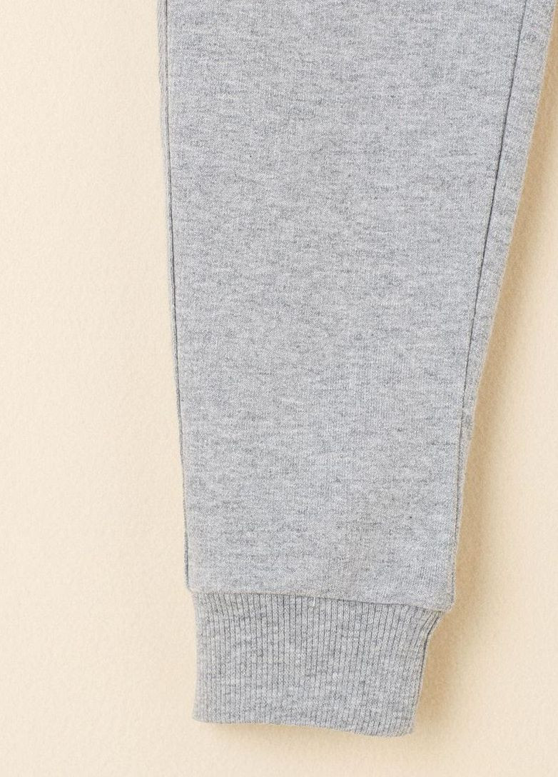 Спортивні брюки утеплені з еластичними манжетами но низу, світло-сірий Yumster (261845279)