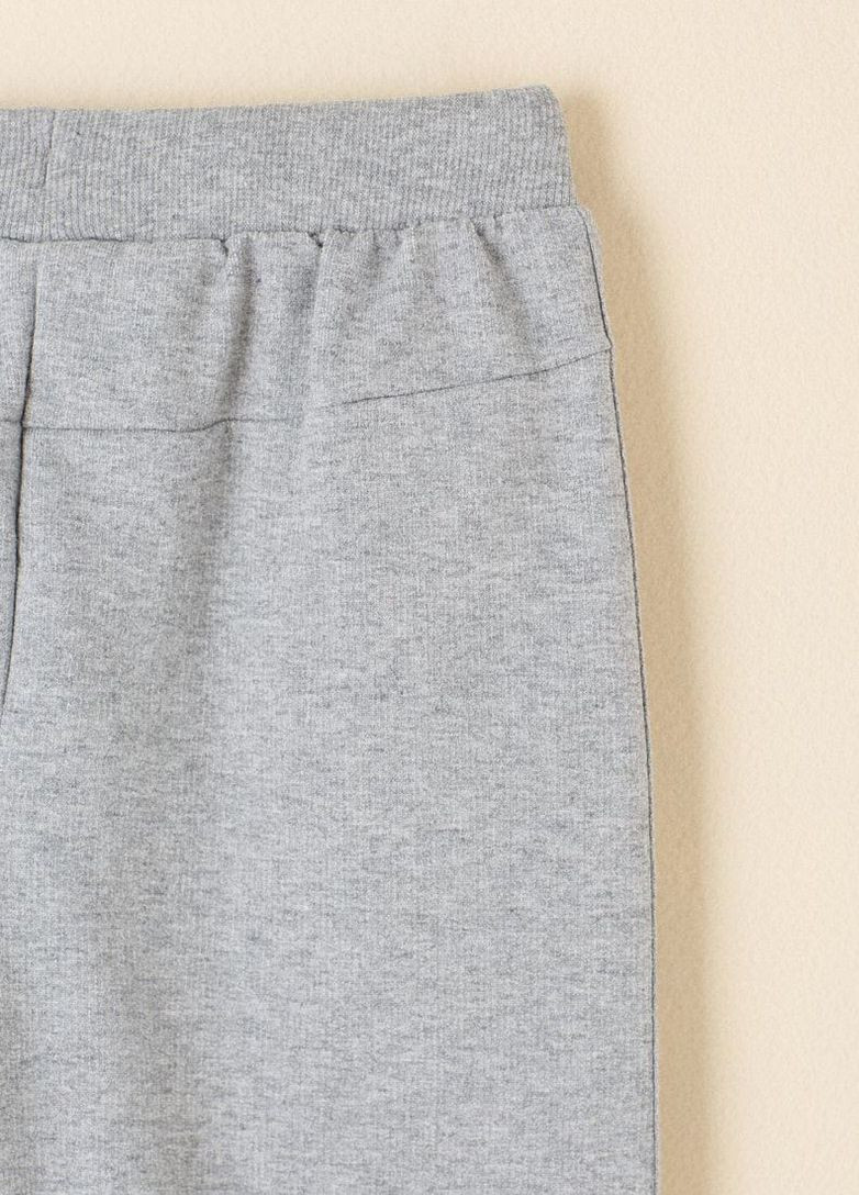 Спортивні брюки утеплені з еластичними манжетами но низу, світло-сірий Yumster (261845279)