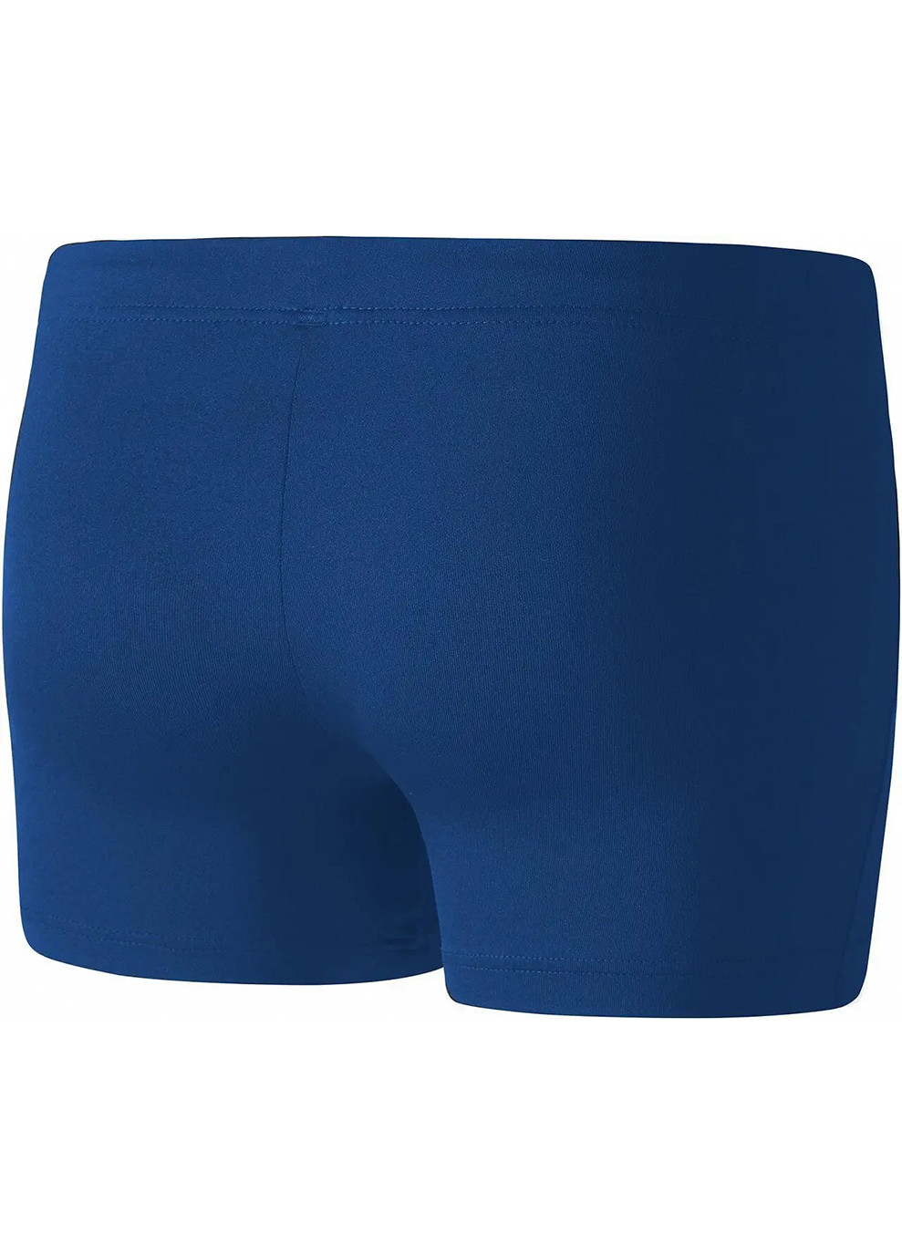 Шорты под юбку Trad Tights blue Mizuno (262599392)