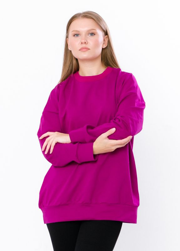 Світшот жіночий Рожевий Носи Своє (8355-057-v0) Носи своє (262521603)