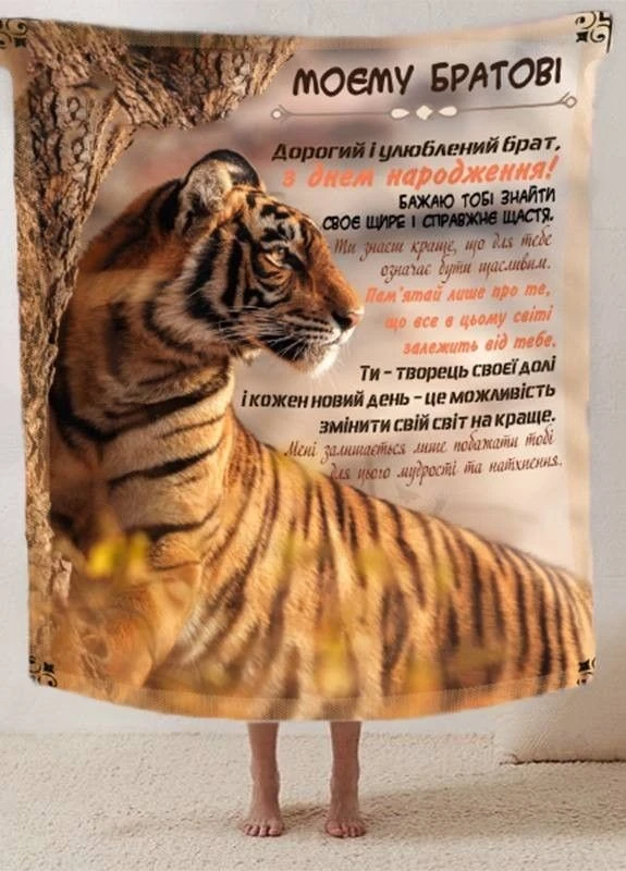 Плед "Найкращому братові" 3D плюш 160х200 см арт 2615 No Brand (263513148)