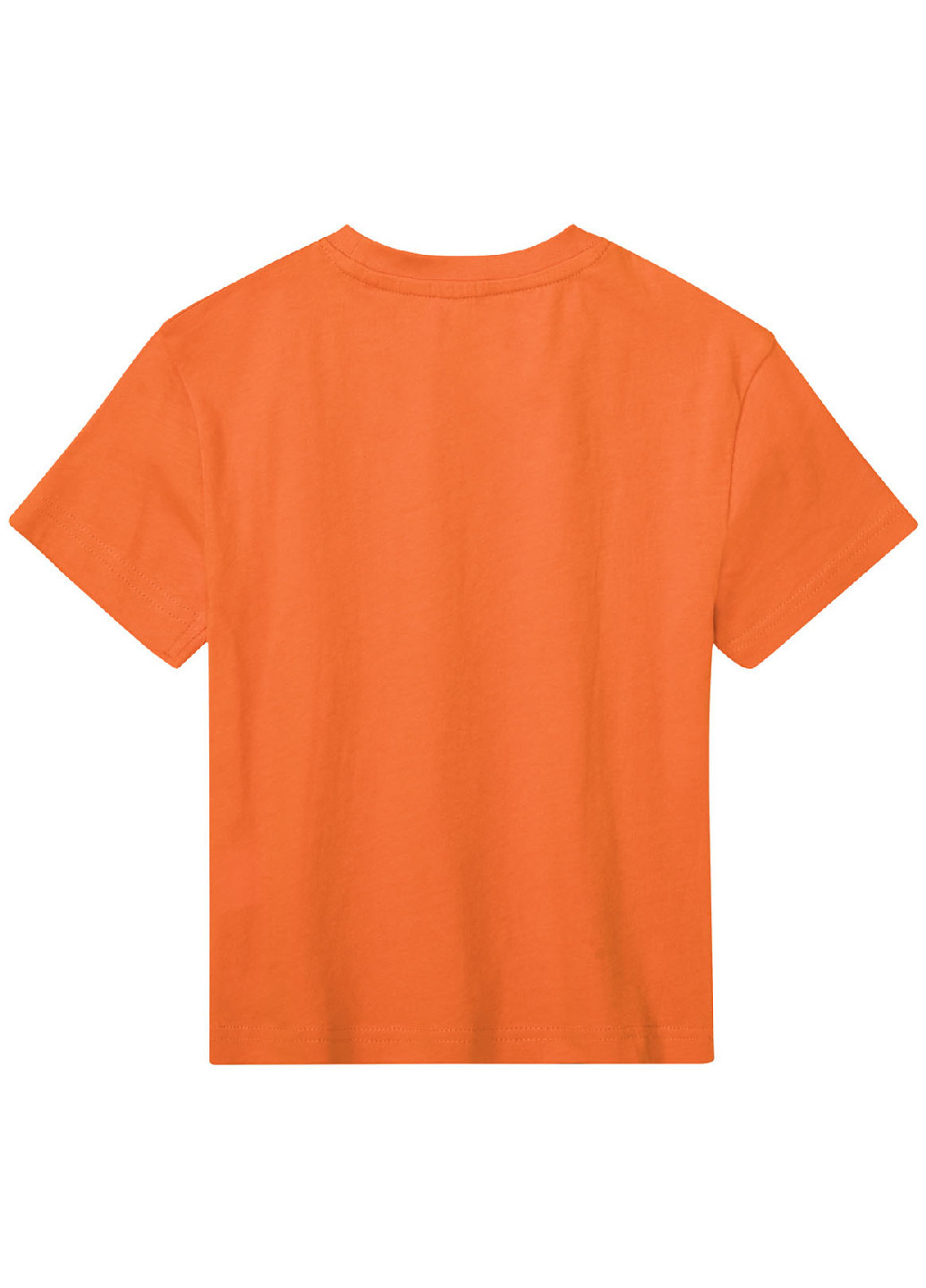 Комбинированная демисезонная футболка (2 шт.) Lupilu