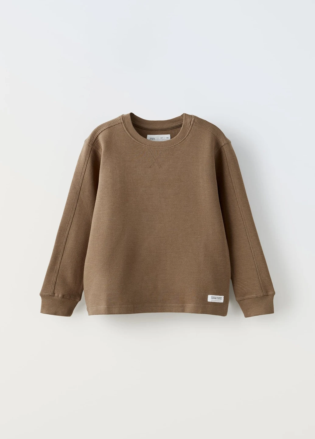 Коричневый демисезонный свитер Zara
