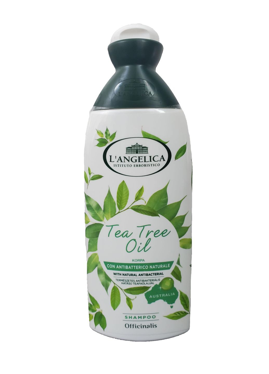 Шампунь проти лупи Officinalis для жирного волосся з олією чайного дерева 250 мл L'Angelica (263606469)