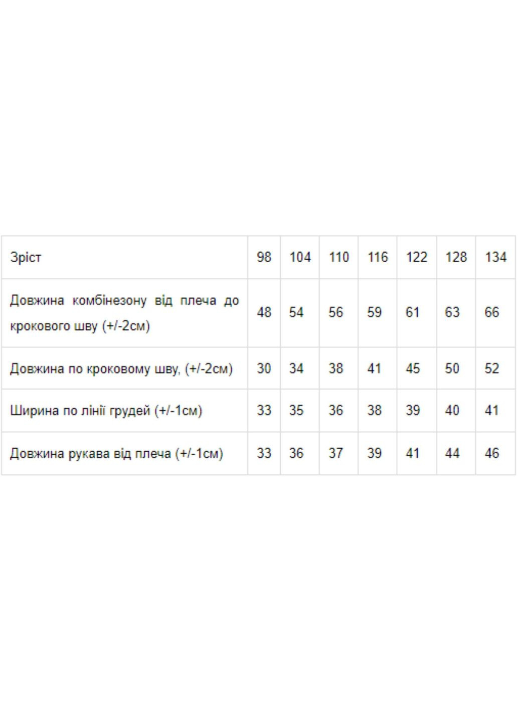 Синя зимня комбінезон для дівчинки Носи своє