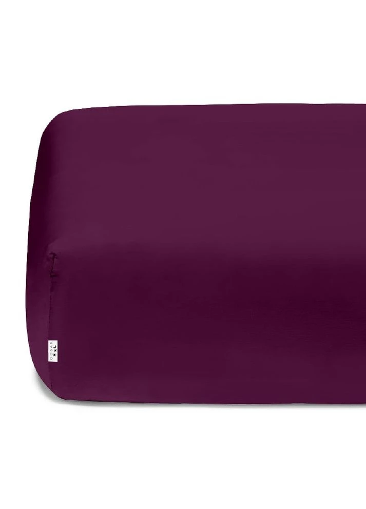 Простирадло на резинці 160x200 BLUEBERRY (4822052087794) Cosas (263694865)