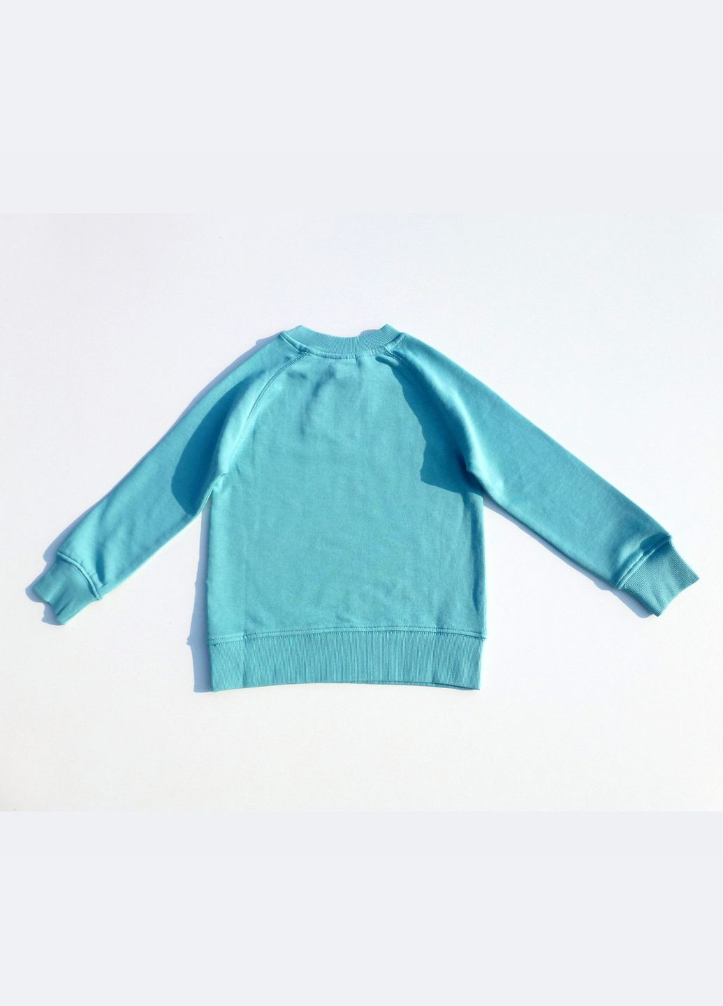 Спортивный костюм детский (свитшот+штаны) двуниткая петля, для девочки, 110-116 см, 5-6 р H&M (264028907)