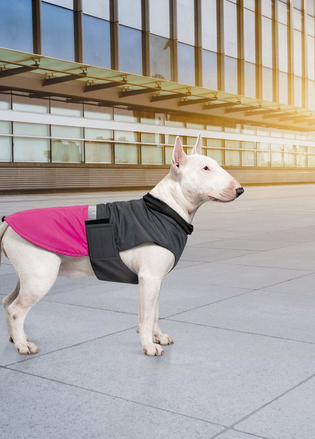 Попона для собак ROY малиново-серый 5XL Pet Fashion (264739417)