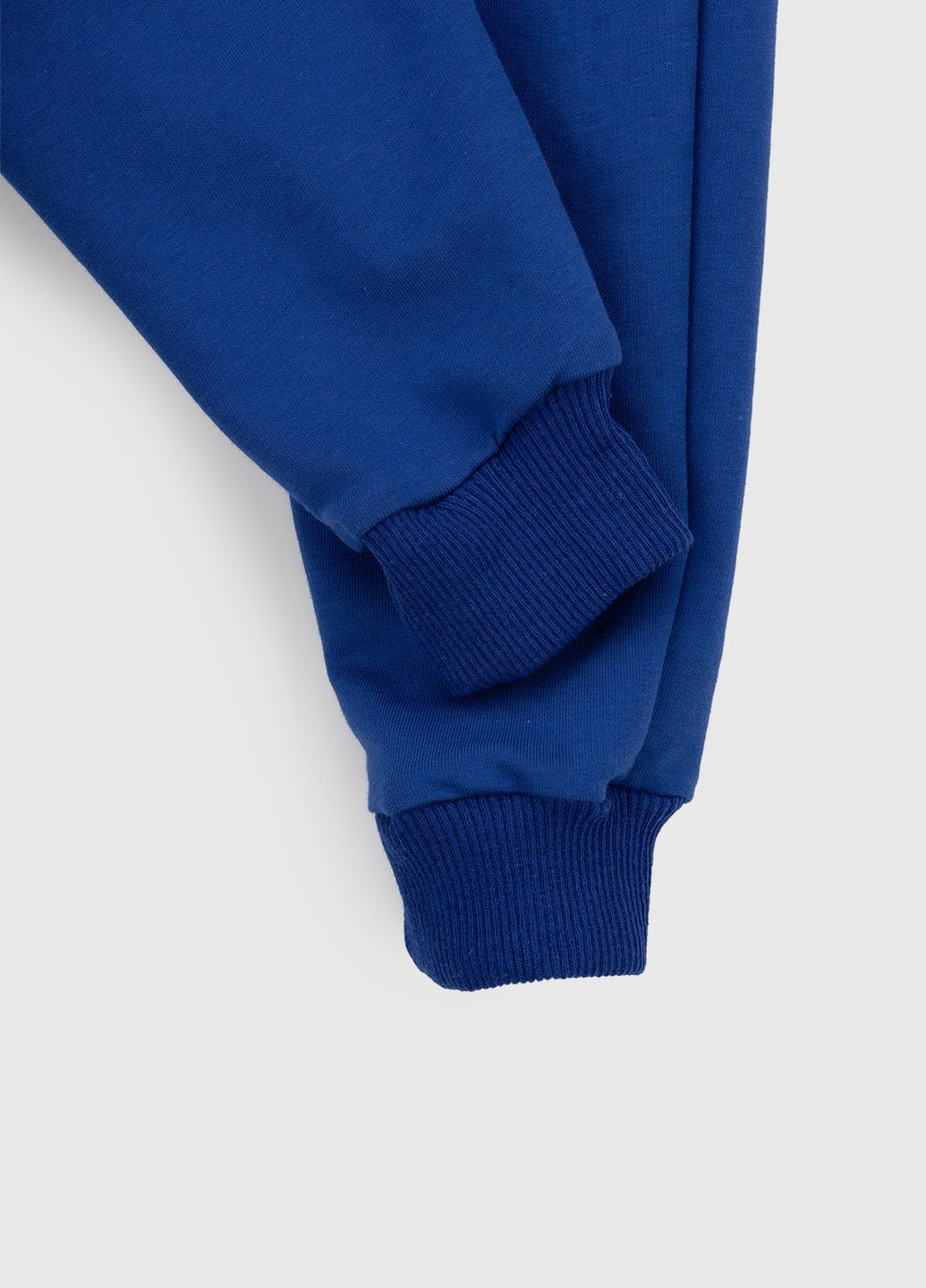 Синие спортивные демисезонные брюки Pitiki