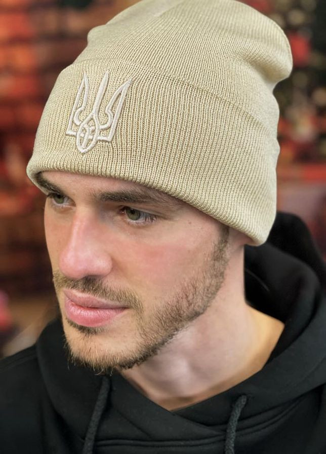 Мужская шапка Тризуб Braxton (264912841)