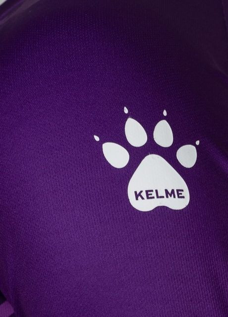 Комплект детской вратарской формы фиолетовый 3803286.9500 Kelme (265210963)