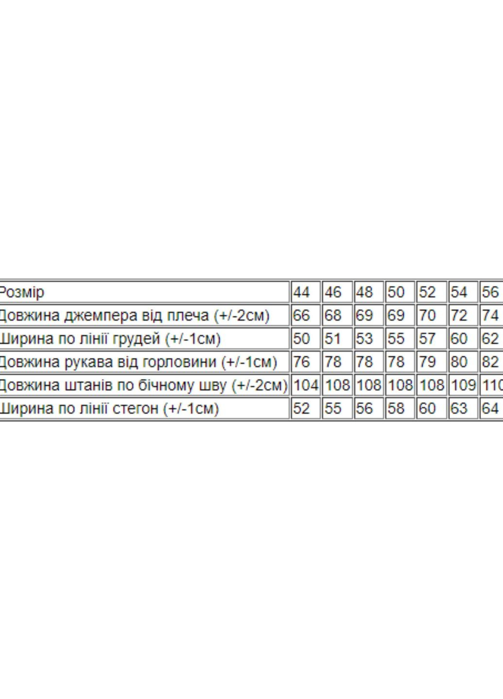Костюм чоловічий Носи своє (265014387)