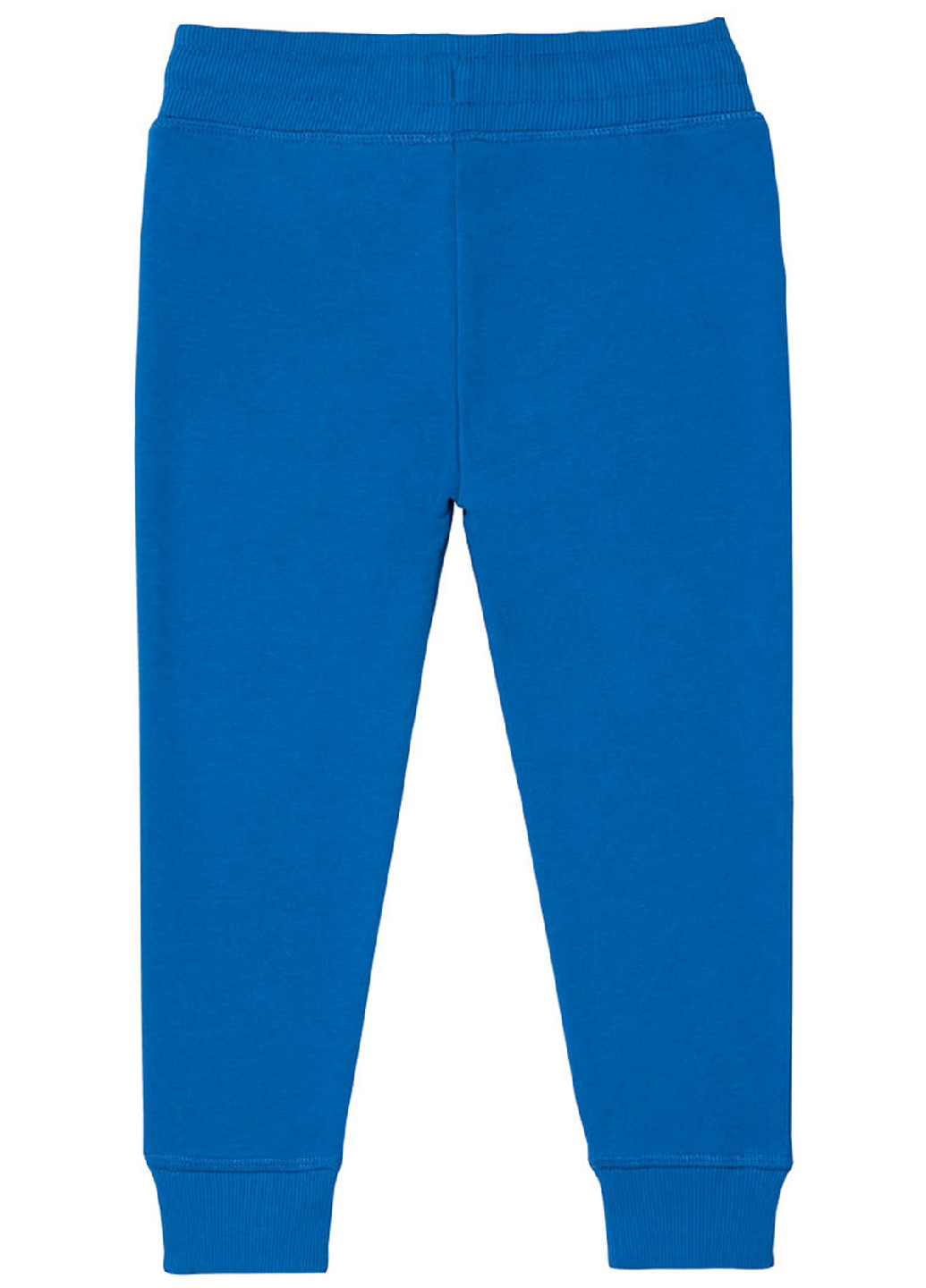 Синие спортивные демисезонные брюки джоггеры Lupilu
