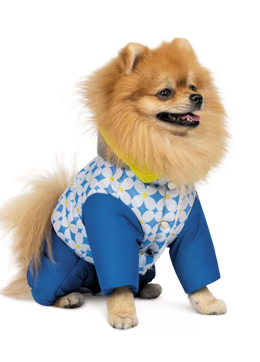 Костюм для собак TENDER XS Pet Fashion (266266455)