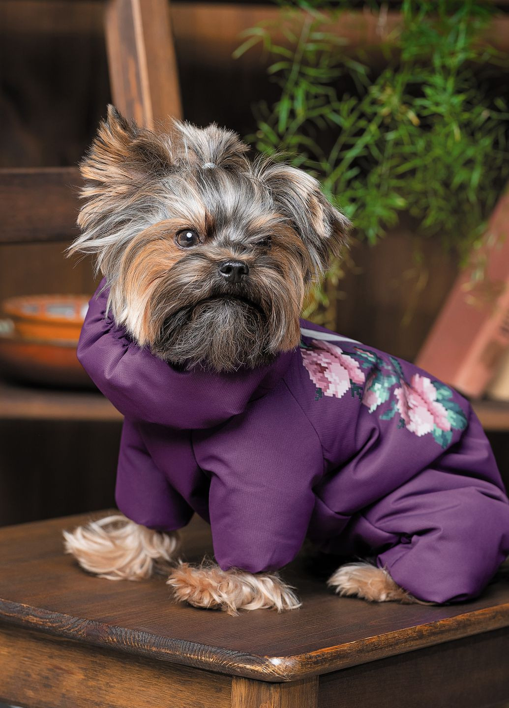 Костюм для собак LOLA S Pet Fashion (266266439)