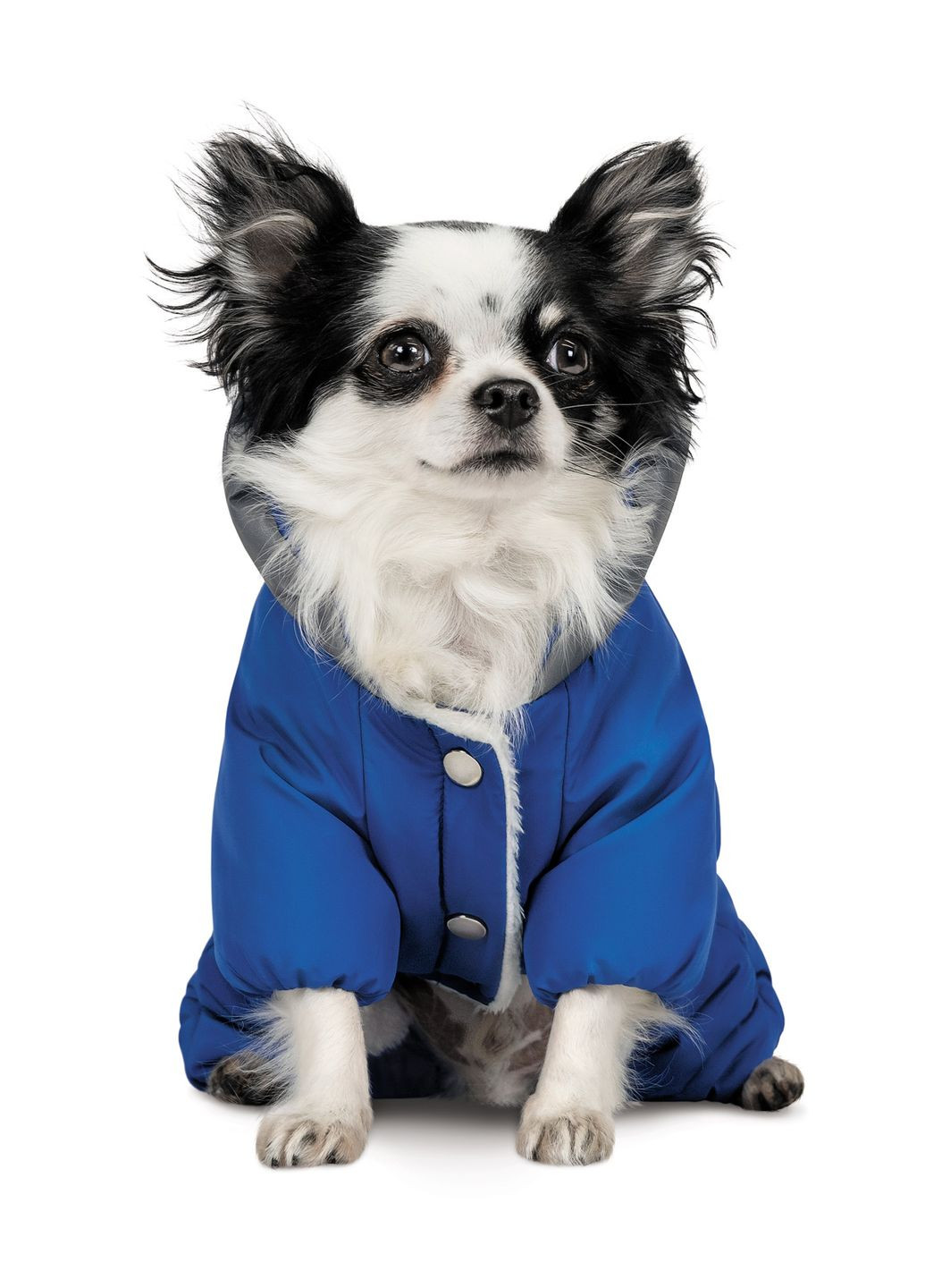 Костюм для собак ZHAN S Pet Fashion (266266419)